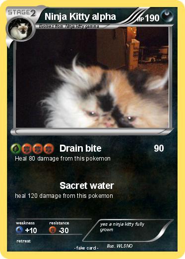 Pokemon Ninja Kitty alpha