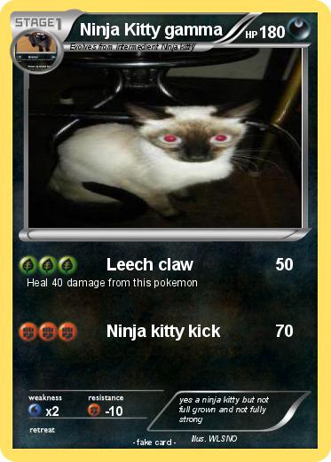 Pokemon Ninja Kitty gamma