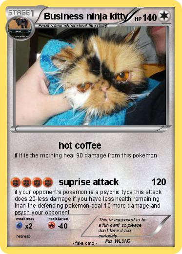Pokemon Business ninja kitty