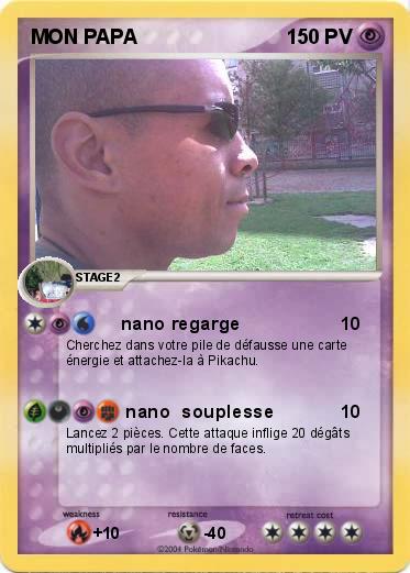Pokemon MON PAPA