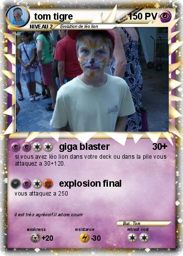 Pokemon tom tigre