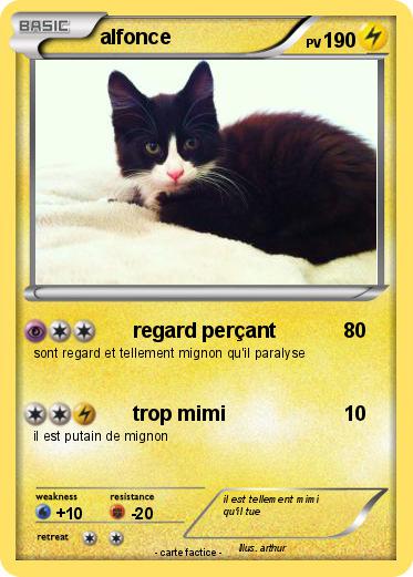Pokemon alfonce