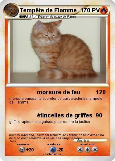 Pokemon Tempête de Flamme