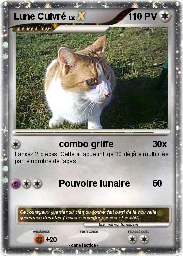 Pokemon Lune Cuivré