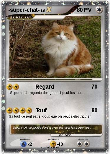 Pokemon -super-chat-
