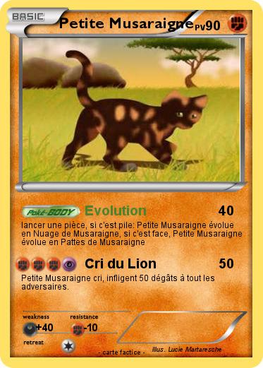 Pokemon Petite Musaraigne
