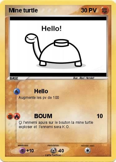 Pokemon Mine turtle
