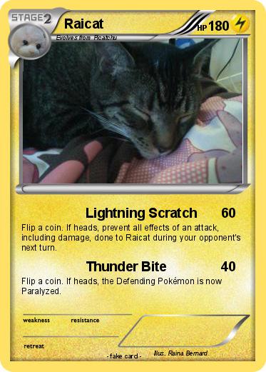 Pokemon Raicat
