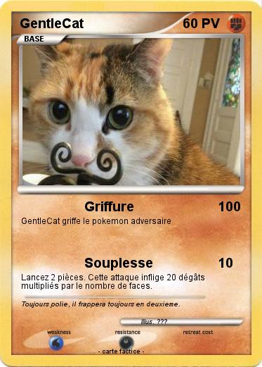 Pokemon GentleCat