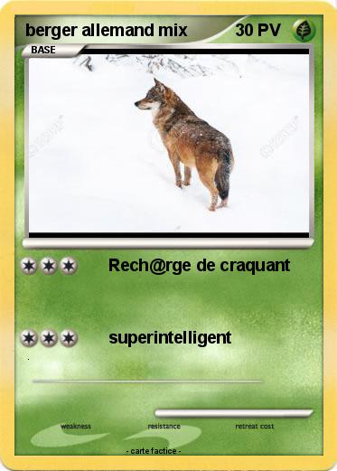 Pokemon berger allemand mix
