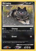 Bernadog