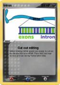 Intron