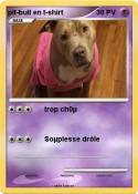 pit-bull en