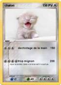 chaton