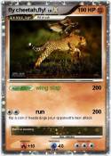 fly cheetah,fly