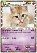 pawz