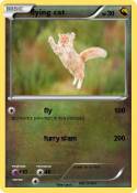 flying cat