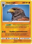 Hawk-eagle