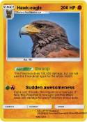 Hawk-eagle