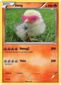Swag