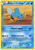 Nolan's mudkip