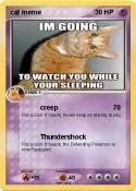 cat meme