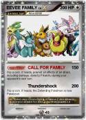 EEVEE FAMILY