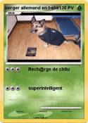 berger allemand