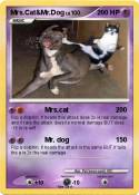 Mrs.Cat&Mr.Dog