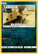 cat/airplane