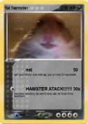 fat hamster