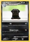 Little Pug