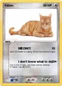Kitten