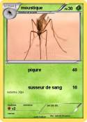 moustique