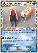 Chien hot dogs