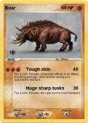 Boar
