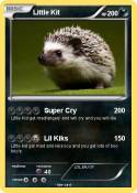 Little Kit