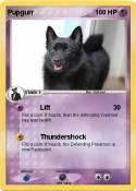Pupgurr