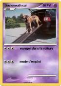 blackmouth cur
