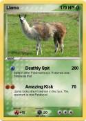 Llama