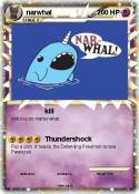 narwhal