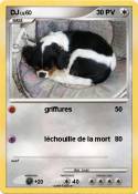 DJ