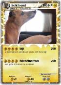 licht hond