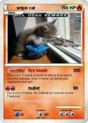 snipe cat