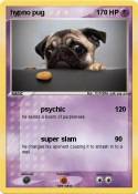 hypno pug