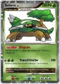 Torterra