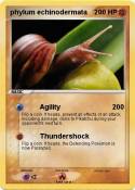phylum