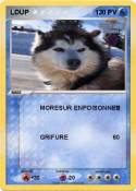 LOUP
