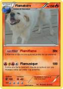 Flamatoire