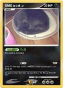 OMG a cat